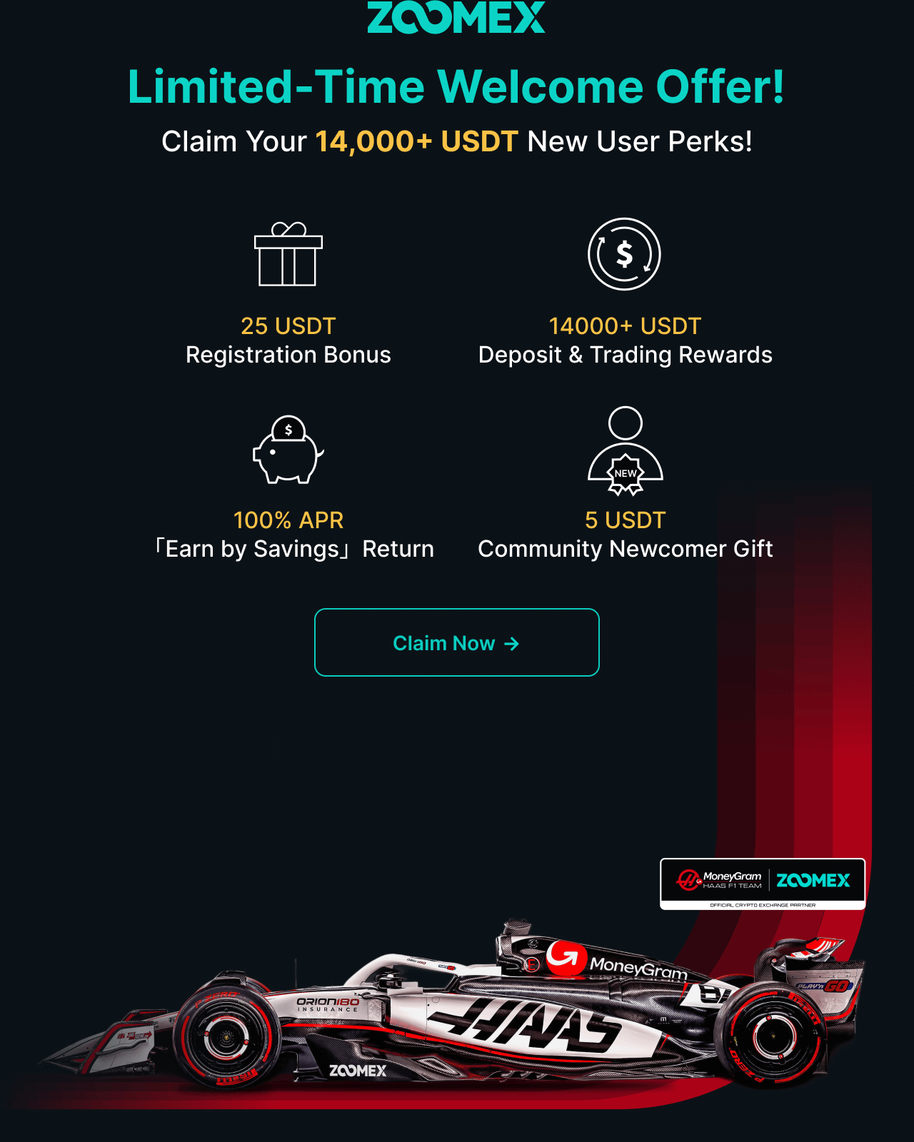 Formula 1 Car Promotion